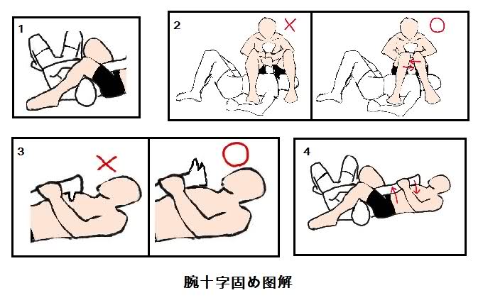  综合格斗技基本技术(绞杀技?关节技)