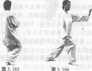  四十八式太极拳（下）----杨静