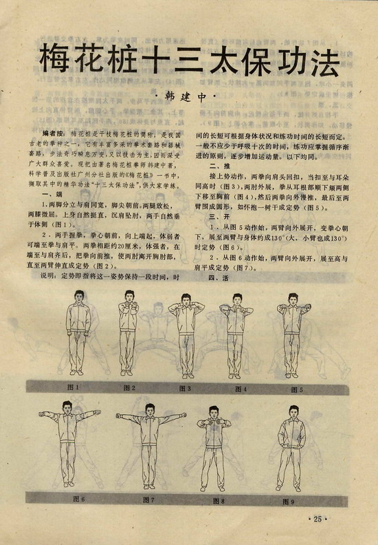  梅花桩十三太保功法----韩建中