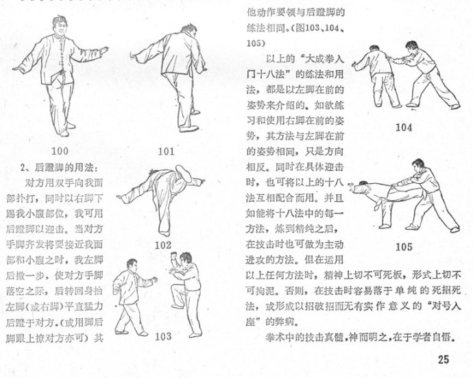  大成拳技击十八法----王选杰