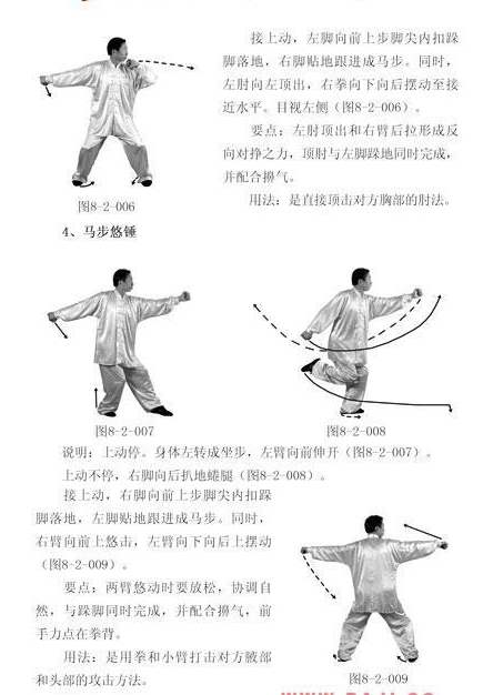  八极拳----李树栋