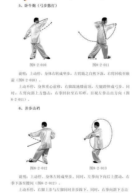  八极拳----李树栋