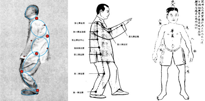  [转载]蹲猴，熊经鸟伸，九曲珠